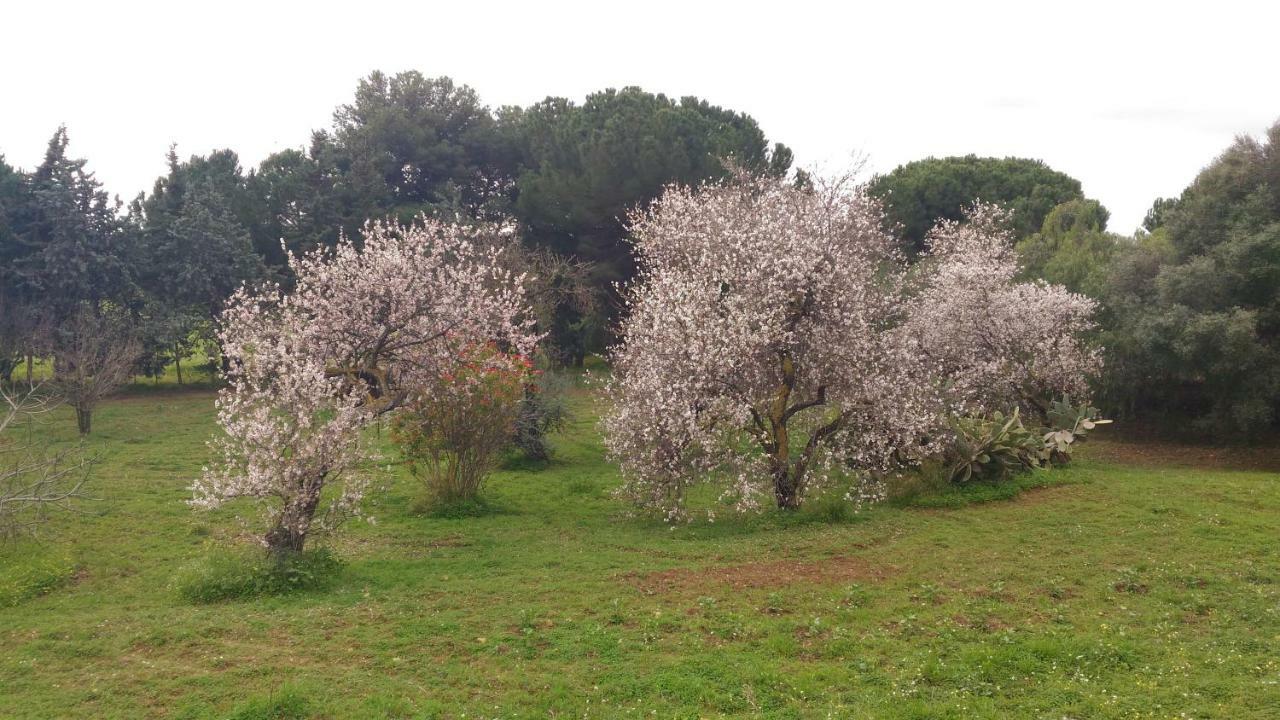 B&B Pirandello - Residence Villa Margherita Agrigento Dış mekan fotoğraf